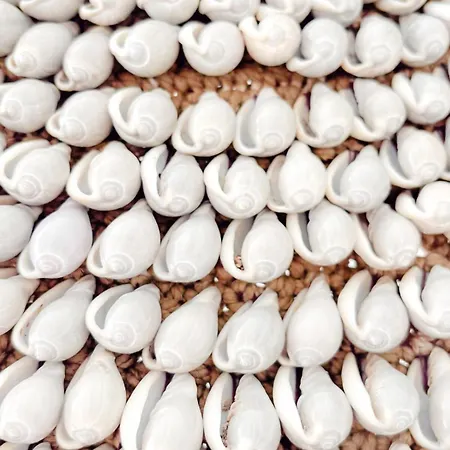 #12 1bdr Joffre, 5min From Old Town Ac & Wifi *